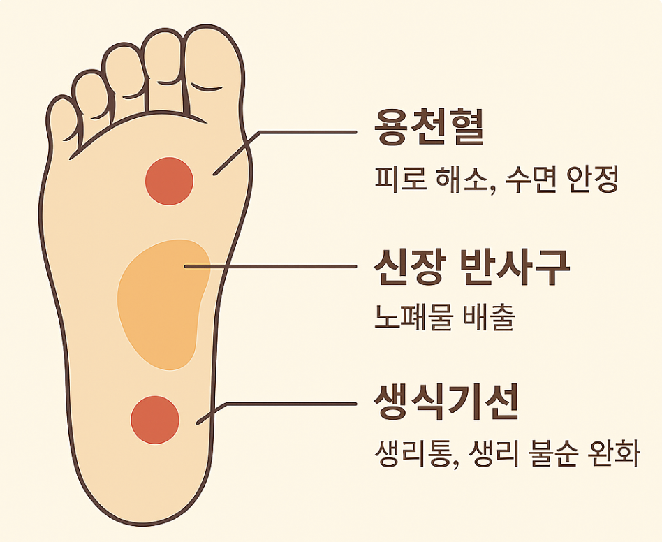 발바닥 지압 혈자리 및 효과